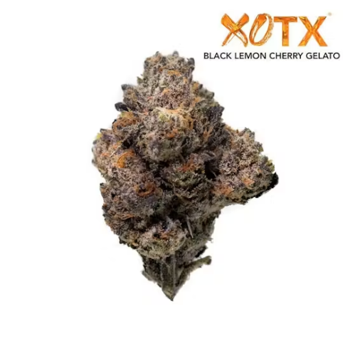 XOTX - Black Lemon Cherry Gelato (14) | Atrium Dispensary